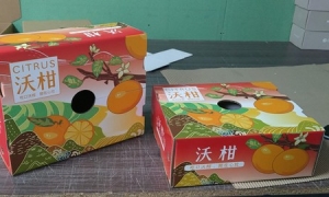 水果包裝紙箱水印與彩印的區別