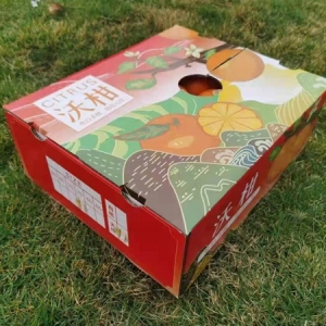 沃柑紙盒包裝案例